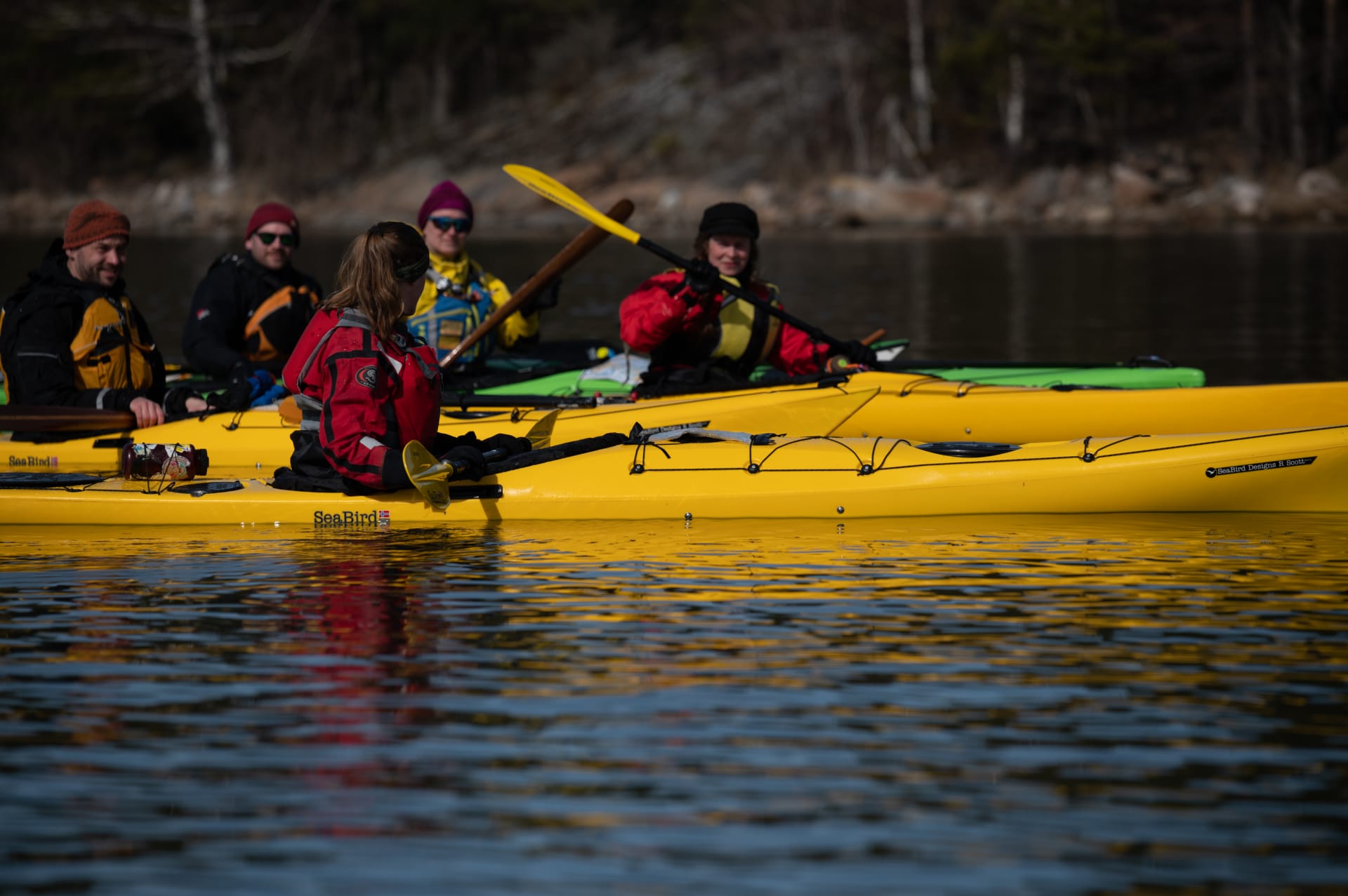 Guided kayaking day tour