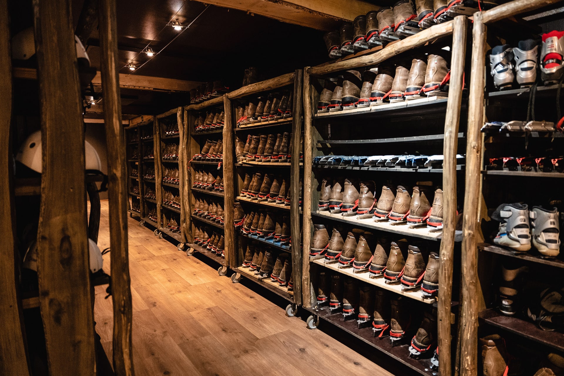 Safari House -Tour Skates