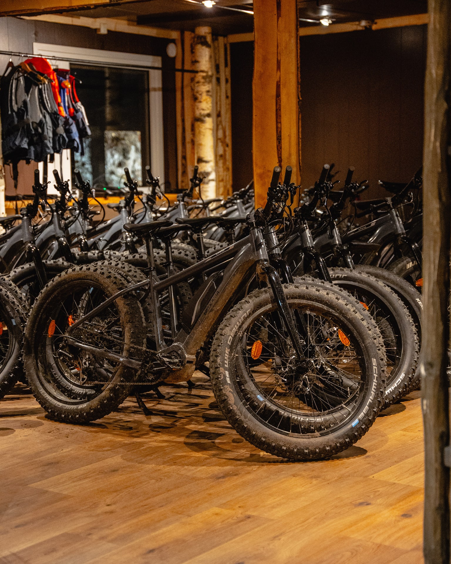 Safari House -eFatBikes