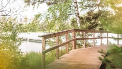 Puinen silta rannassa