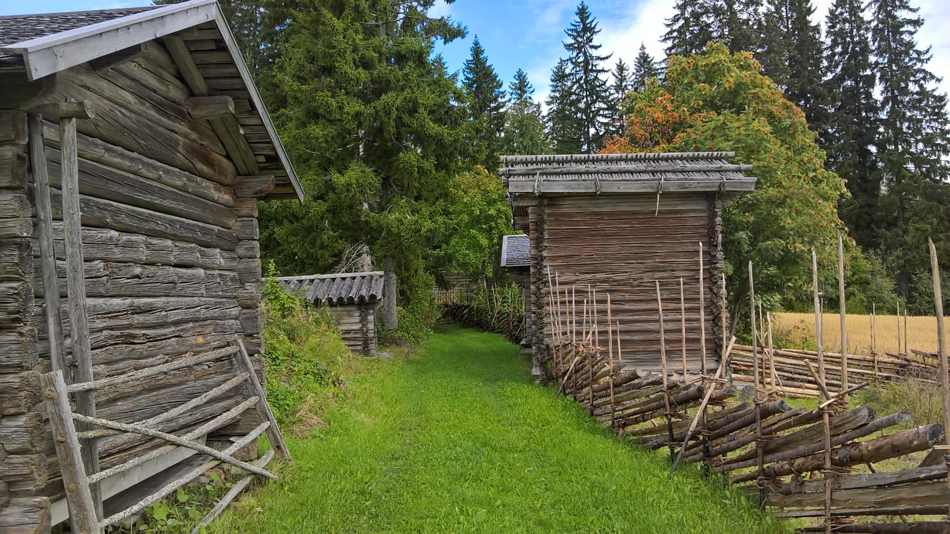 Pienmäen talomuseon aittarakennuksia