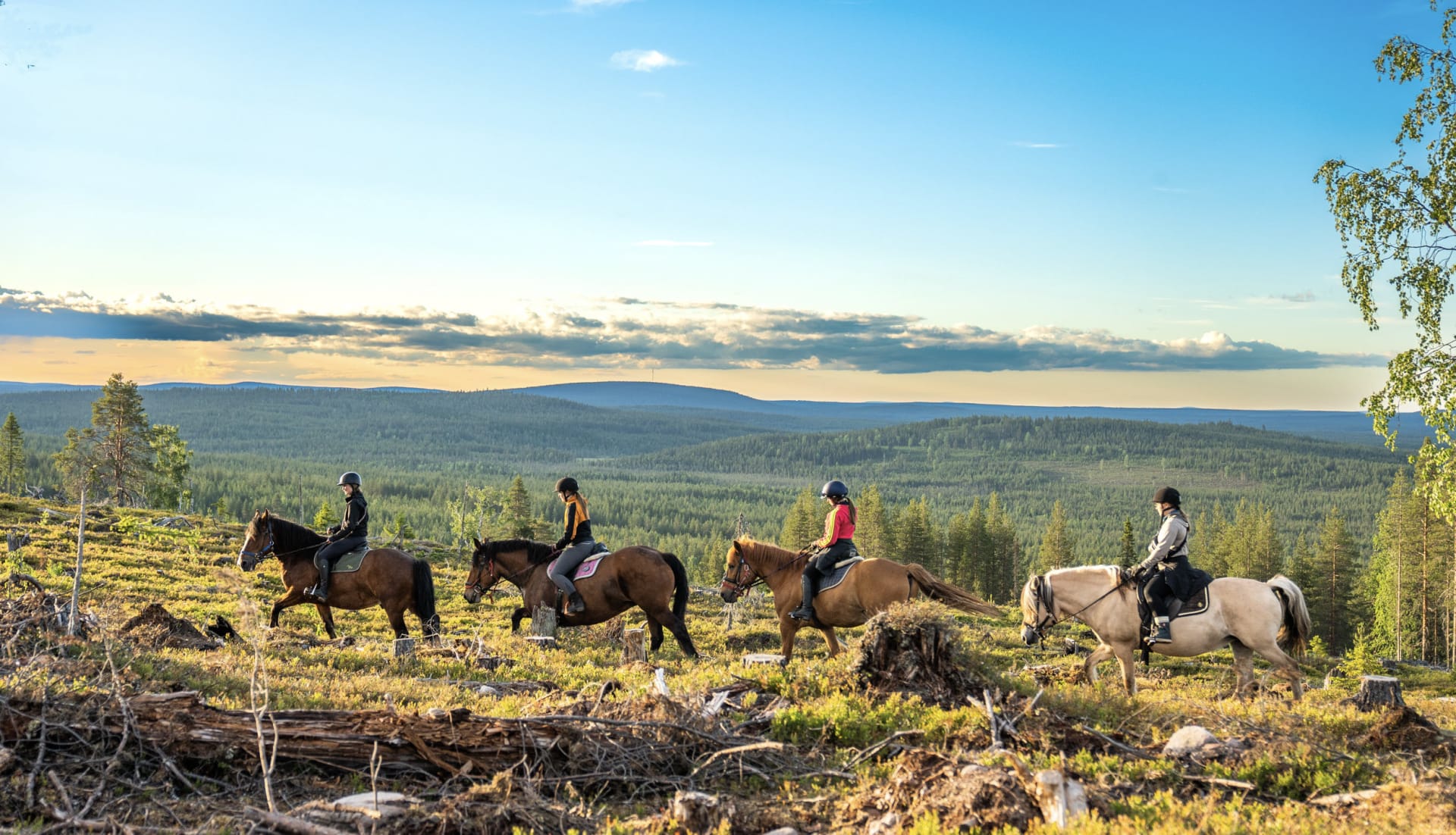 four riders next to the hills under the midnight sun