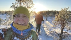 Snowshoe hikers in the winter sunshine