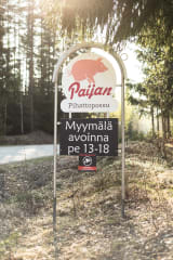 Paijan Tilateurastamon tilamyymälä