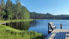 Swimming in the lake