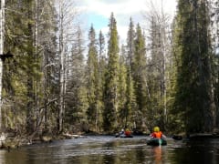 Packrafting Towards the Rapids in Spring