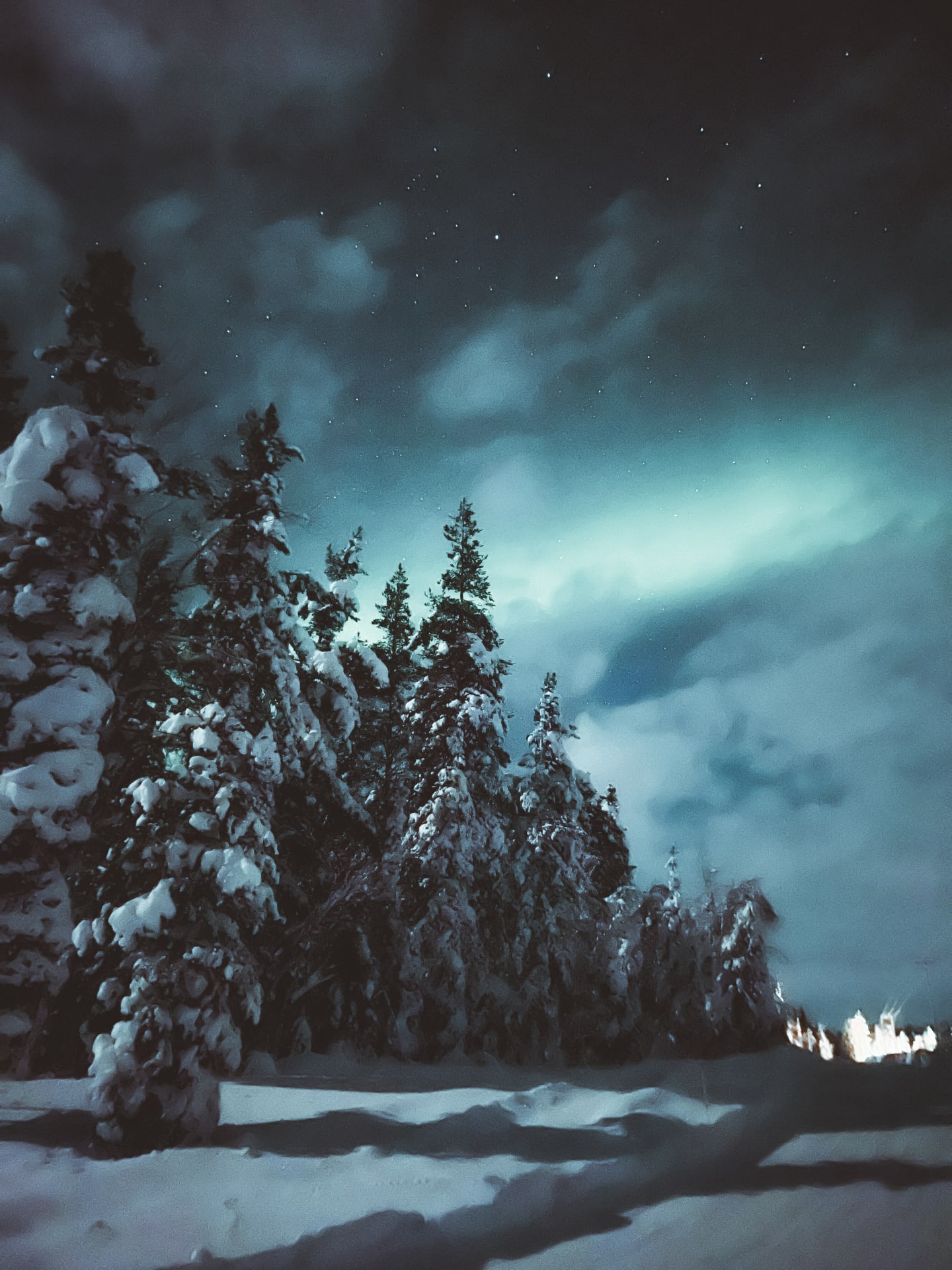 Northern Lights on the sky appearing during a Finn Horse Sleigh Ride in Apukka Resort.