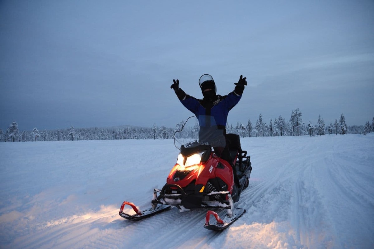 Snowmobile Safari to the Arctic Forest