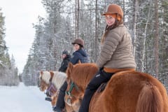 Horseback tour exploring snowy pine forests on a bright winter day