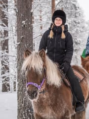 Snowy horse trekking adventure through magical Lapland forest scenery