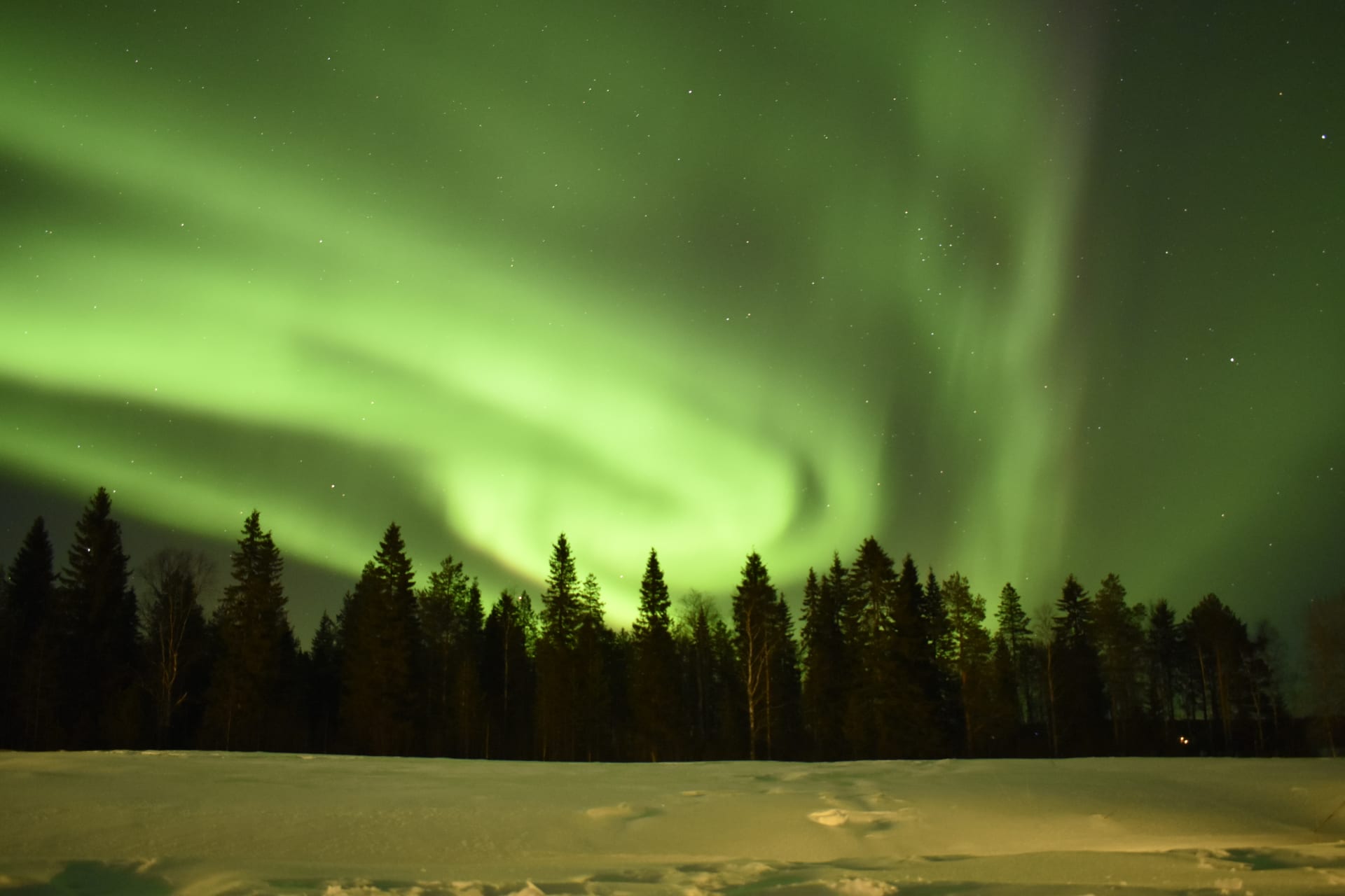 The Northern Lights found during Aurora Hunt with Apukka Adventures.