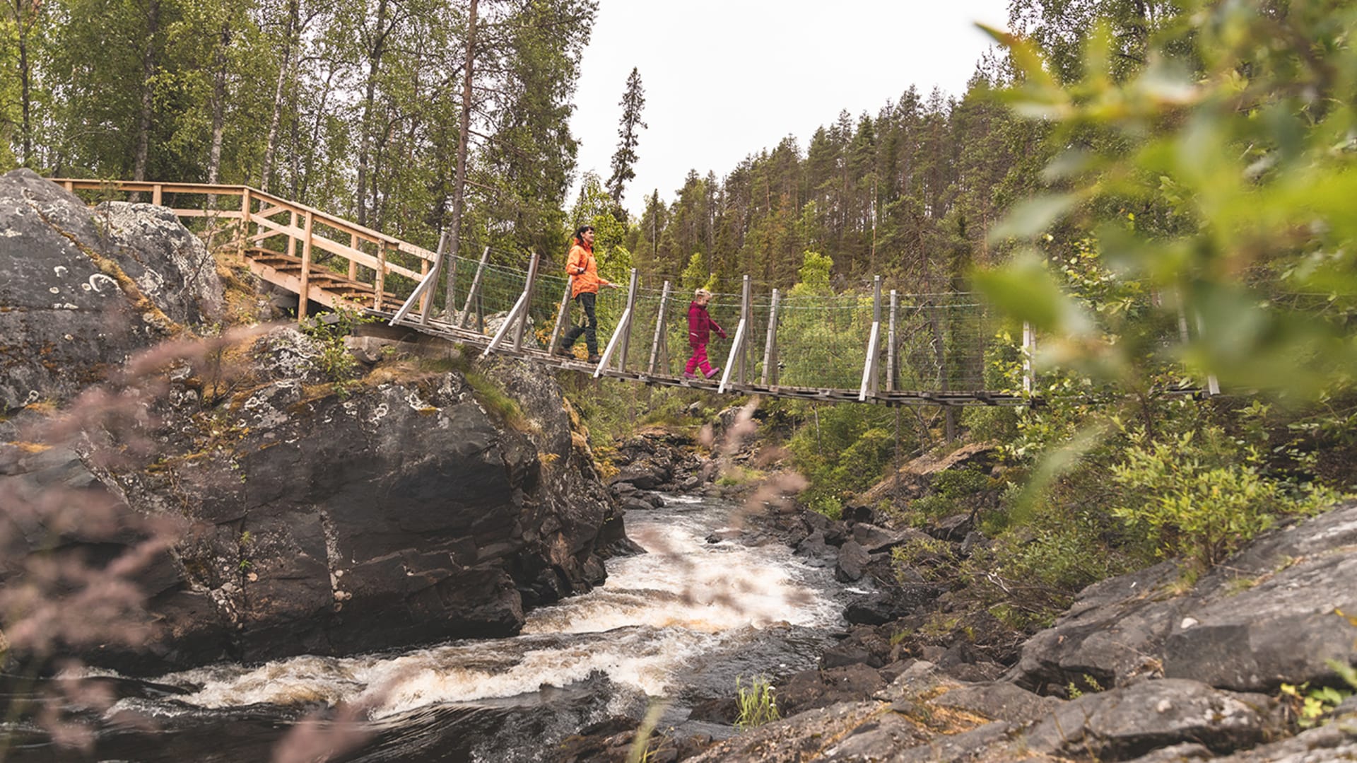 Retkeilijä ja pieni lapsi riippusillalla ylittämässä koskea luonnossa. Taustalla kesäistä metsää. / A hiker and a small child on a suspension bridge crossing a rapid. Summer forest in the background. Kuva: Heikki Sulander
