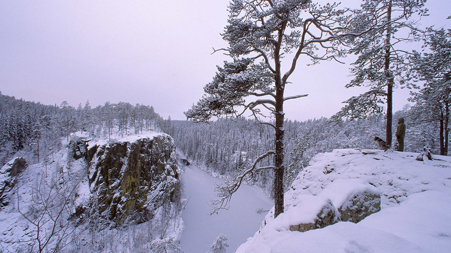 Oulanka National Park