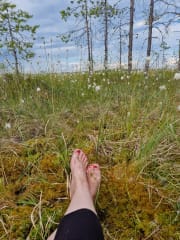 Suokylpy - Peuranevan kutsu