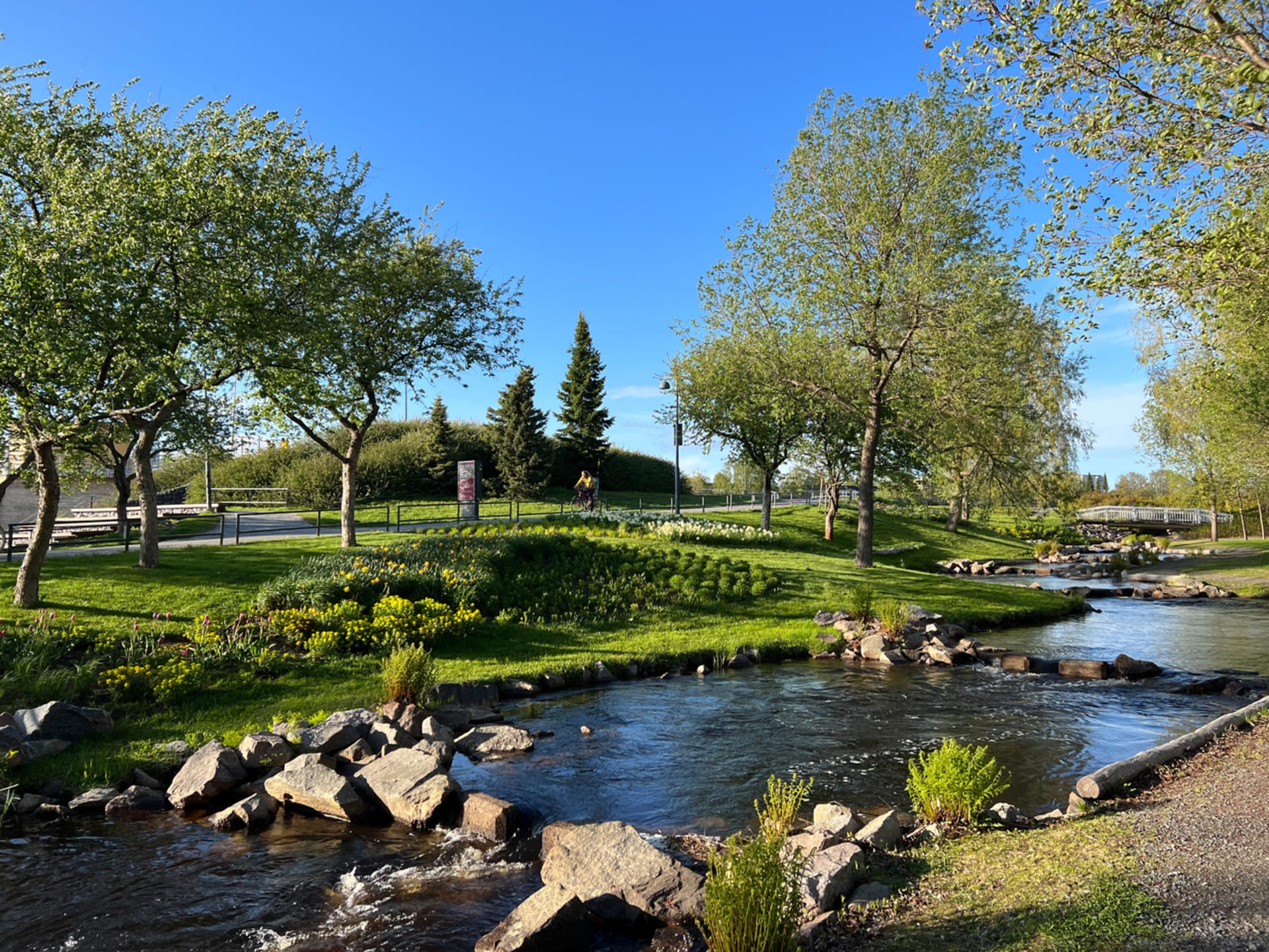 Cityparks fish passage in summer time.