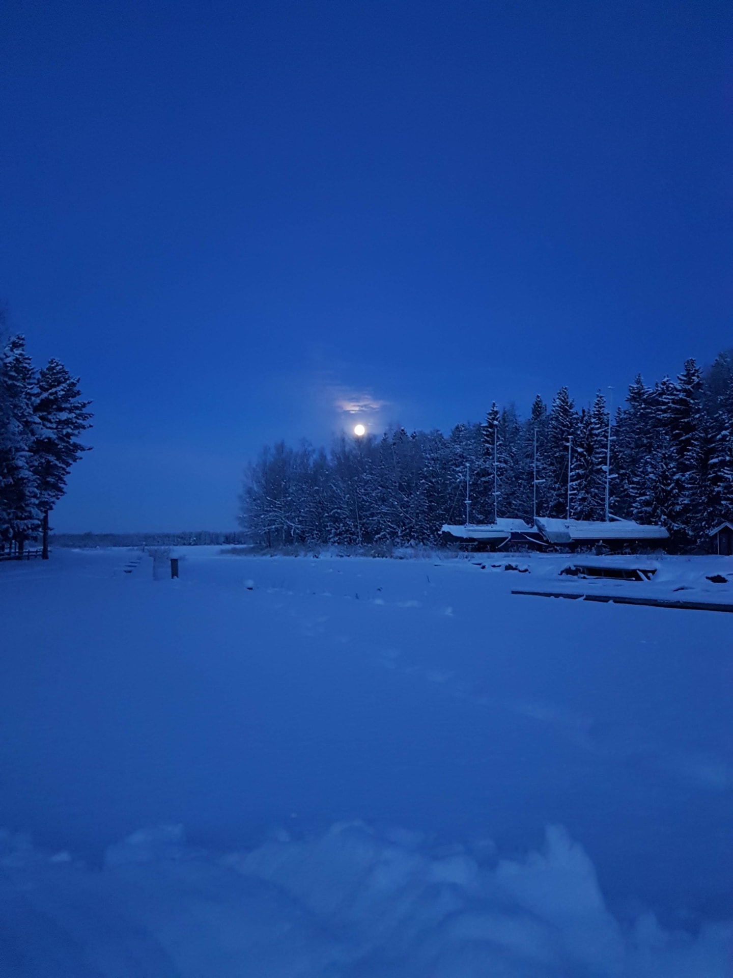 Winter scenery in the harbour.