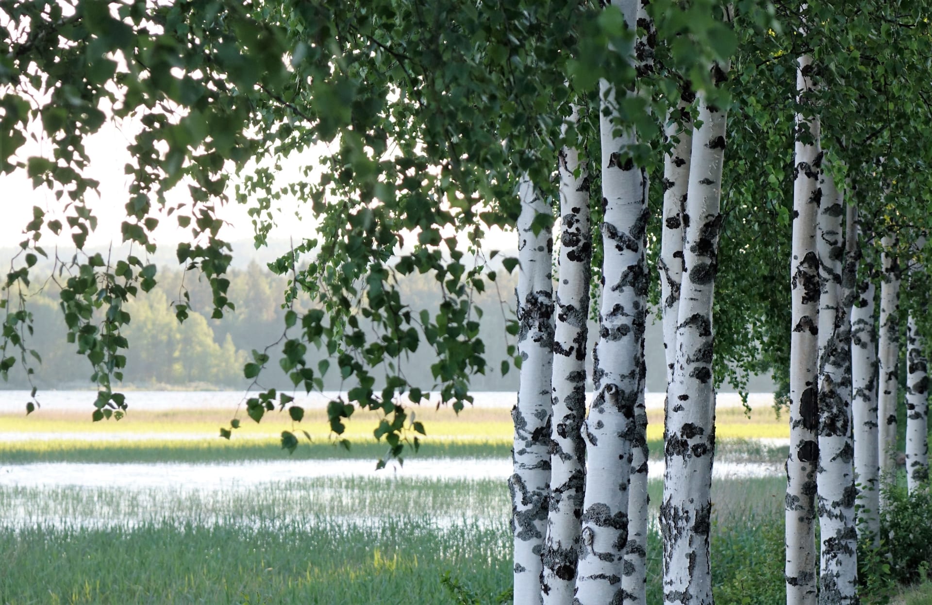 Majatalosta majataloon kävellen