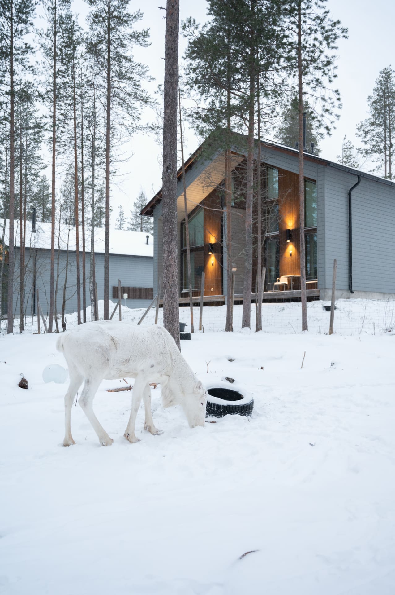 Nordic Cottage, Nova Skyland Hotel