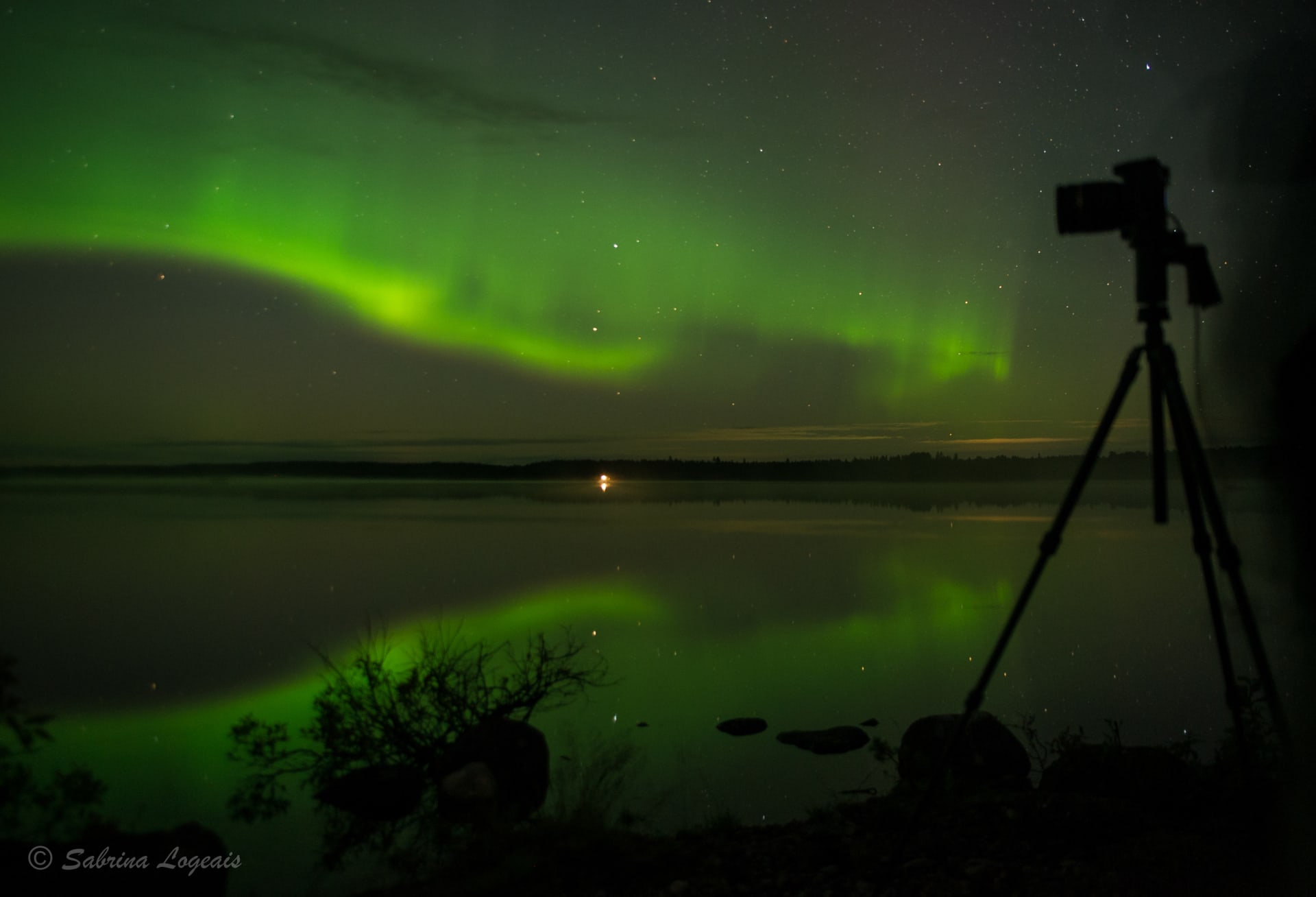 Taiga Spirit, aurora tour