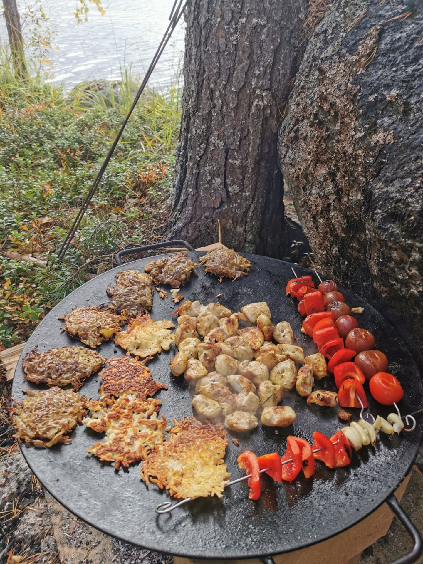 Roasted halloum, vegetables and meat