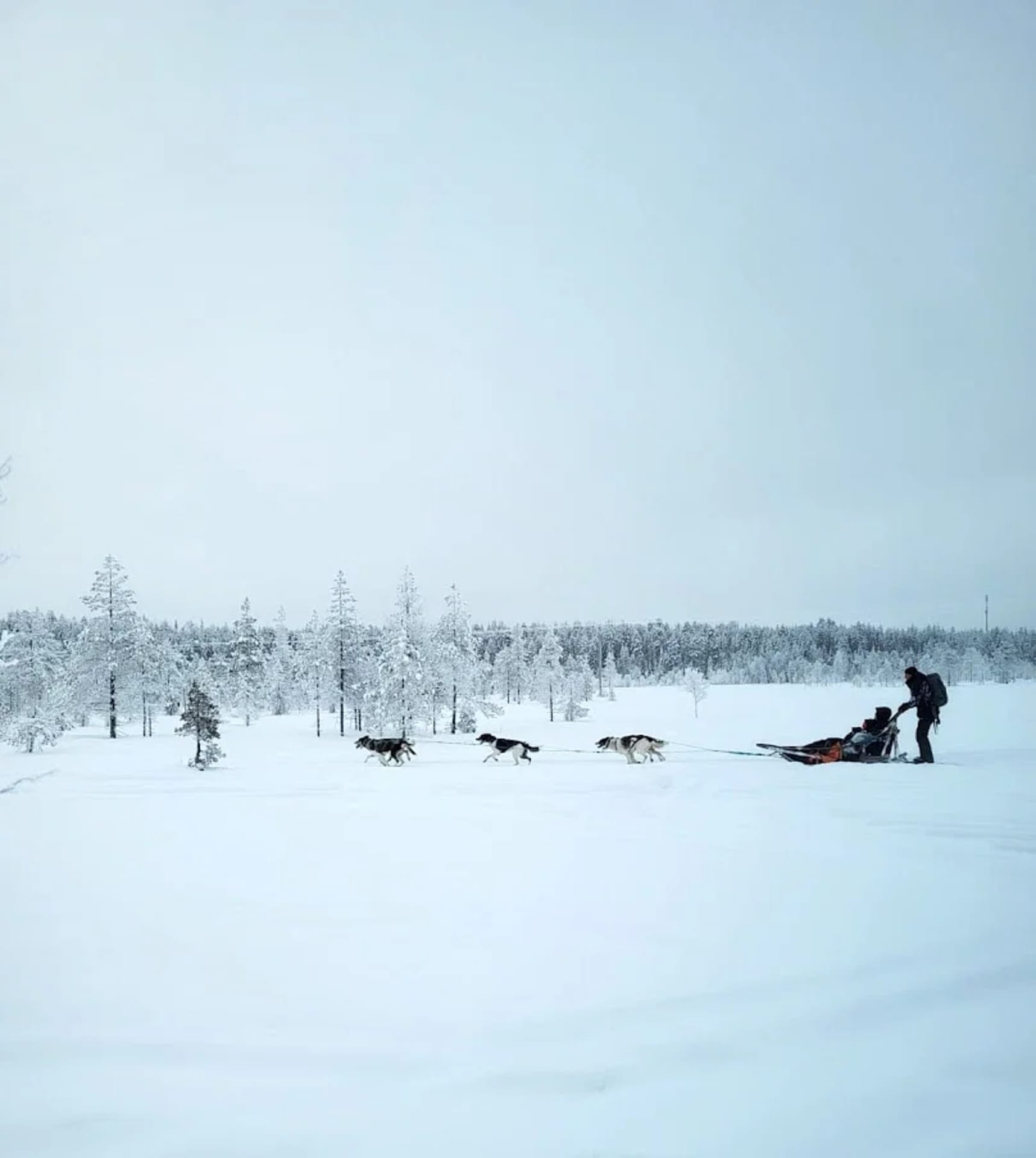 Husky Ride