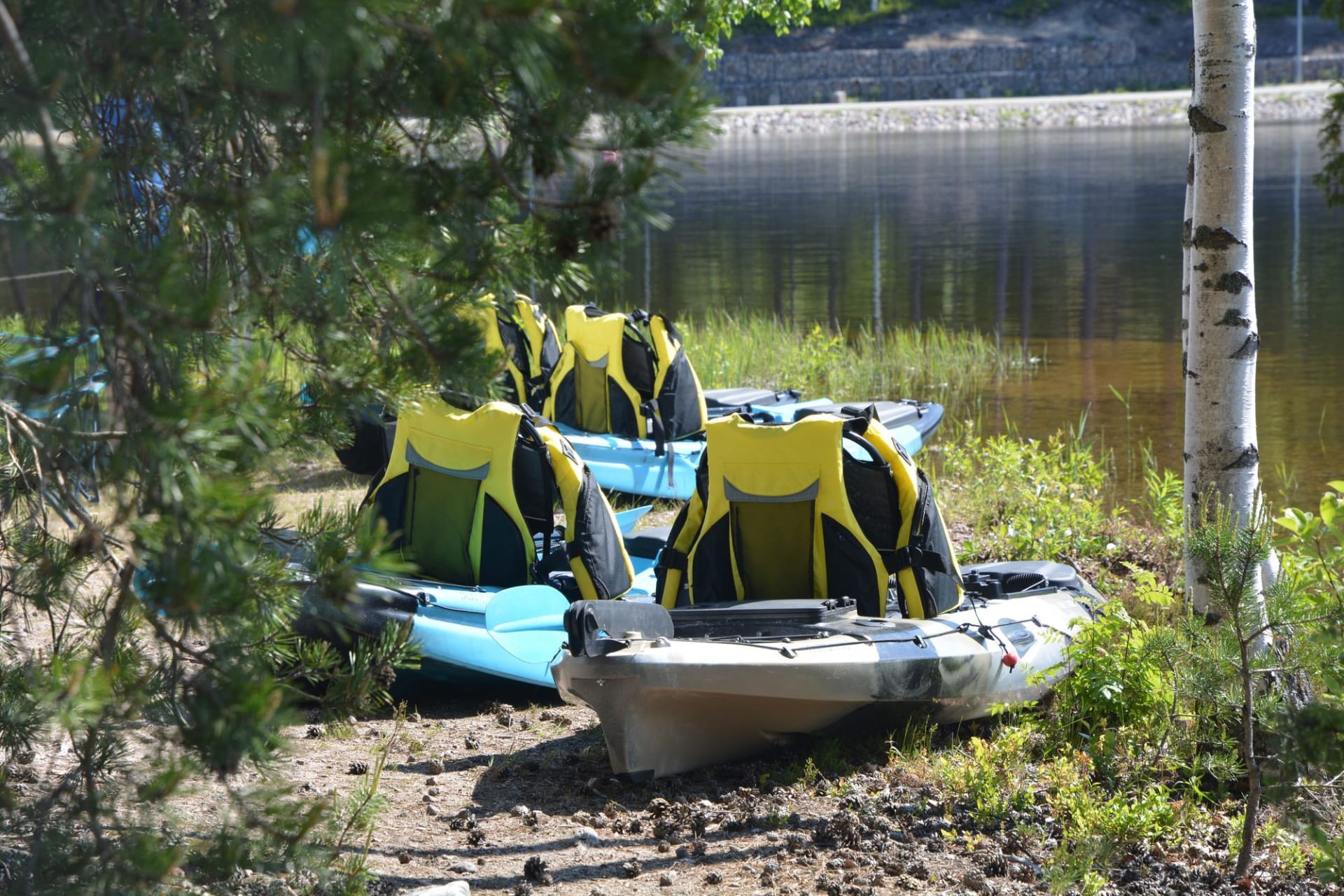 Kayaks rentals