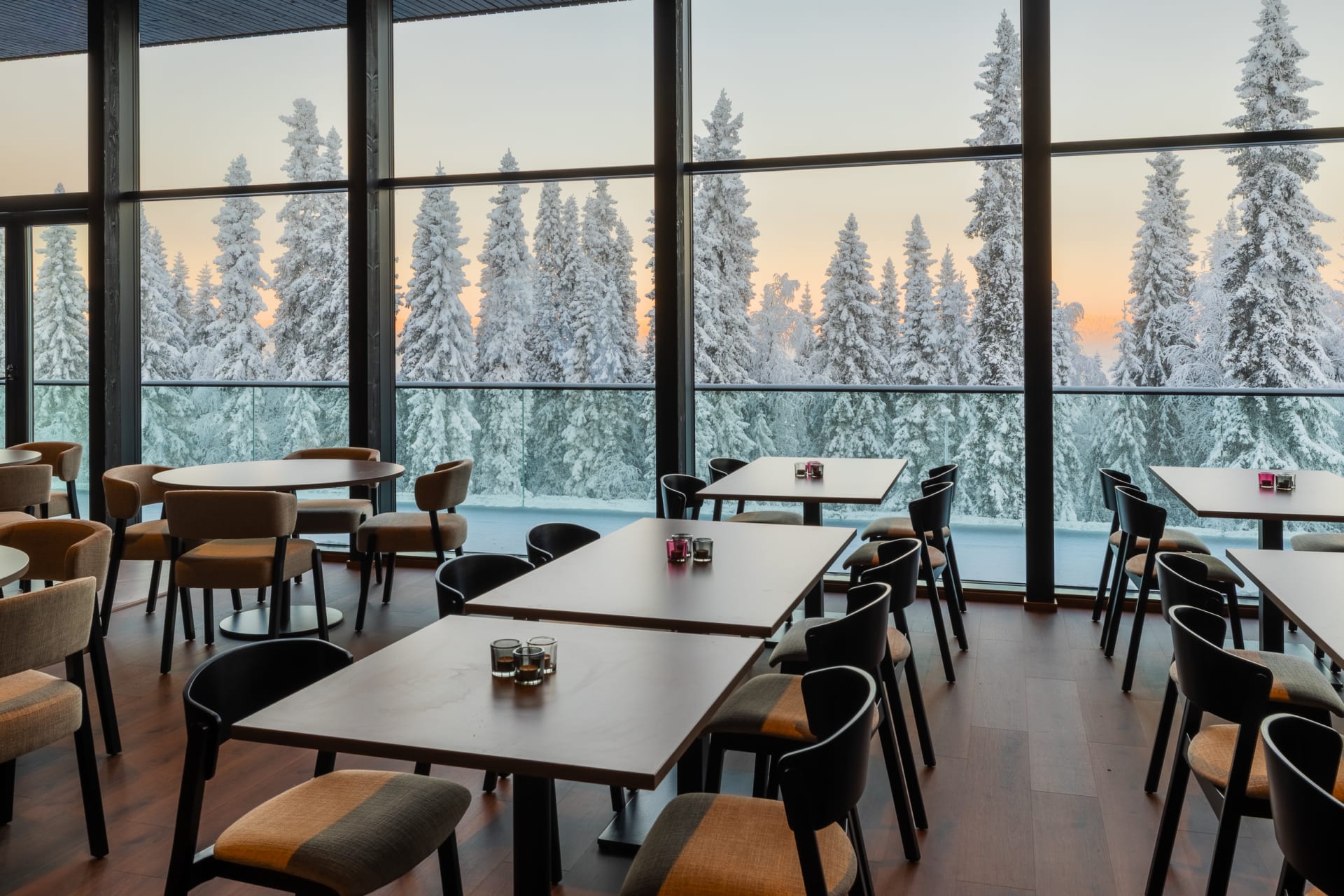 Forest surroundings and open views make the landscape part of the experience.