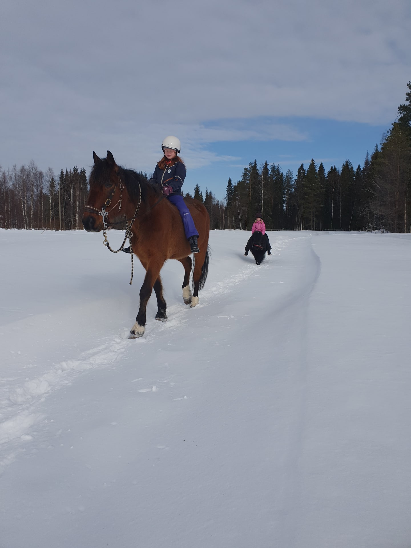 Winter trail ride
