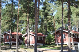 Camping cottages in the forest