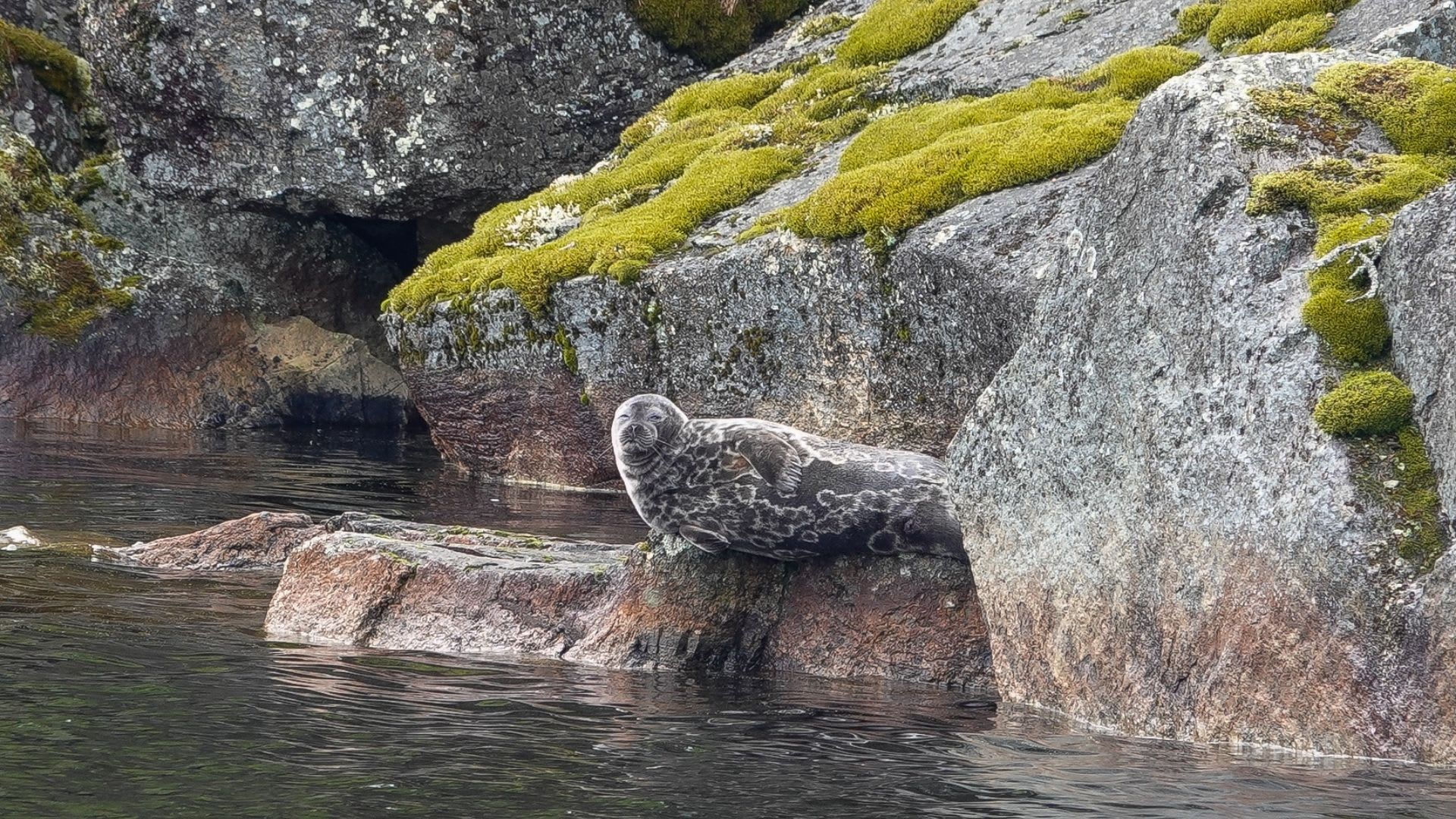Cruise To The Savonlinna Archipelago On M S Elviira Visit Finland