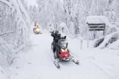 Ranua Resort - 2 tunnin moottorikelkkasafari koko perheelle