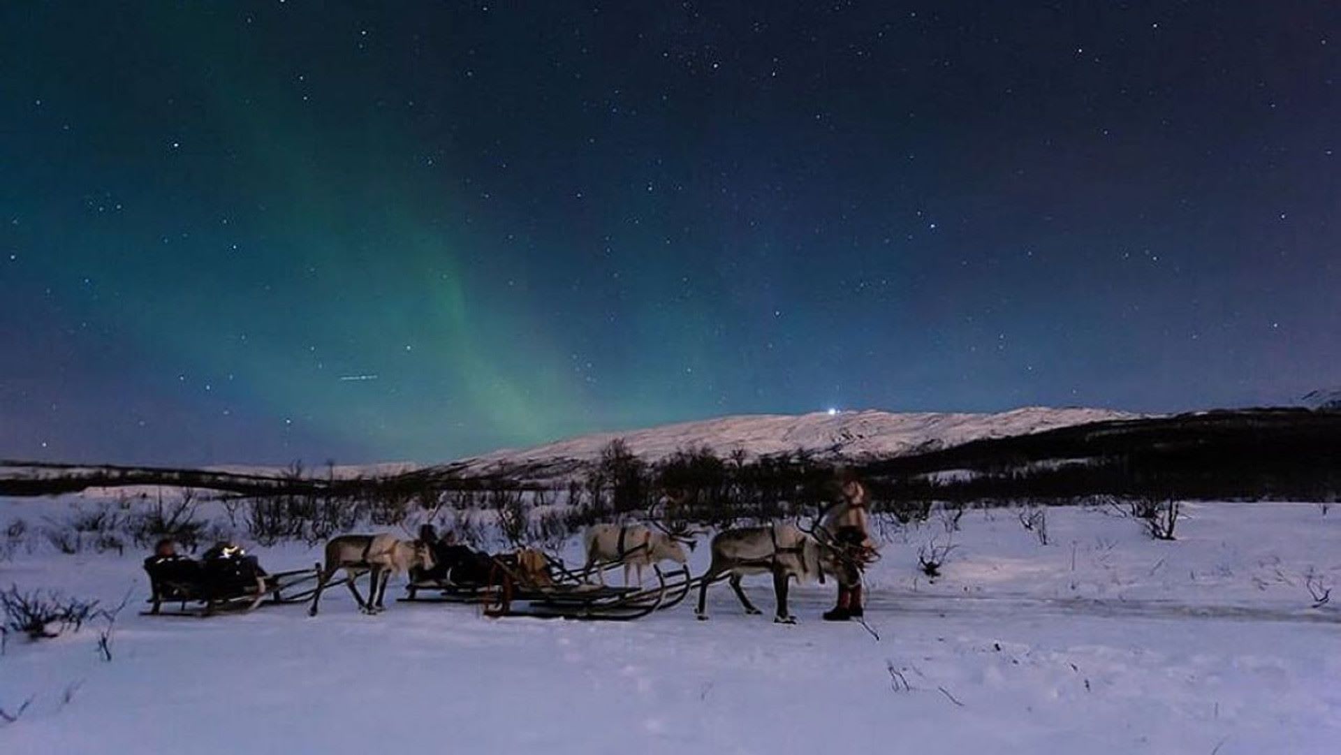 Reindeer sleigh