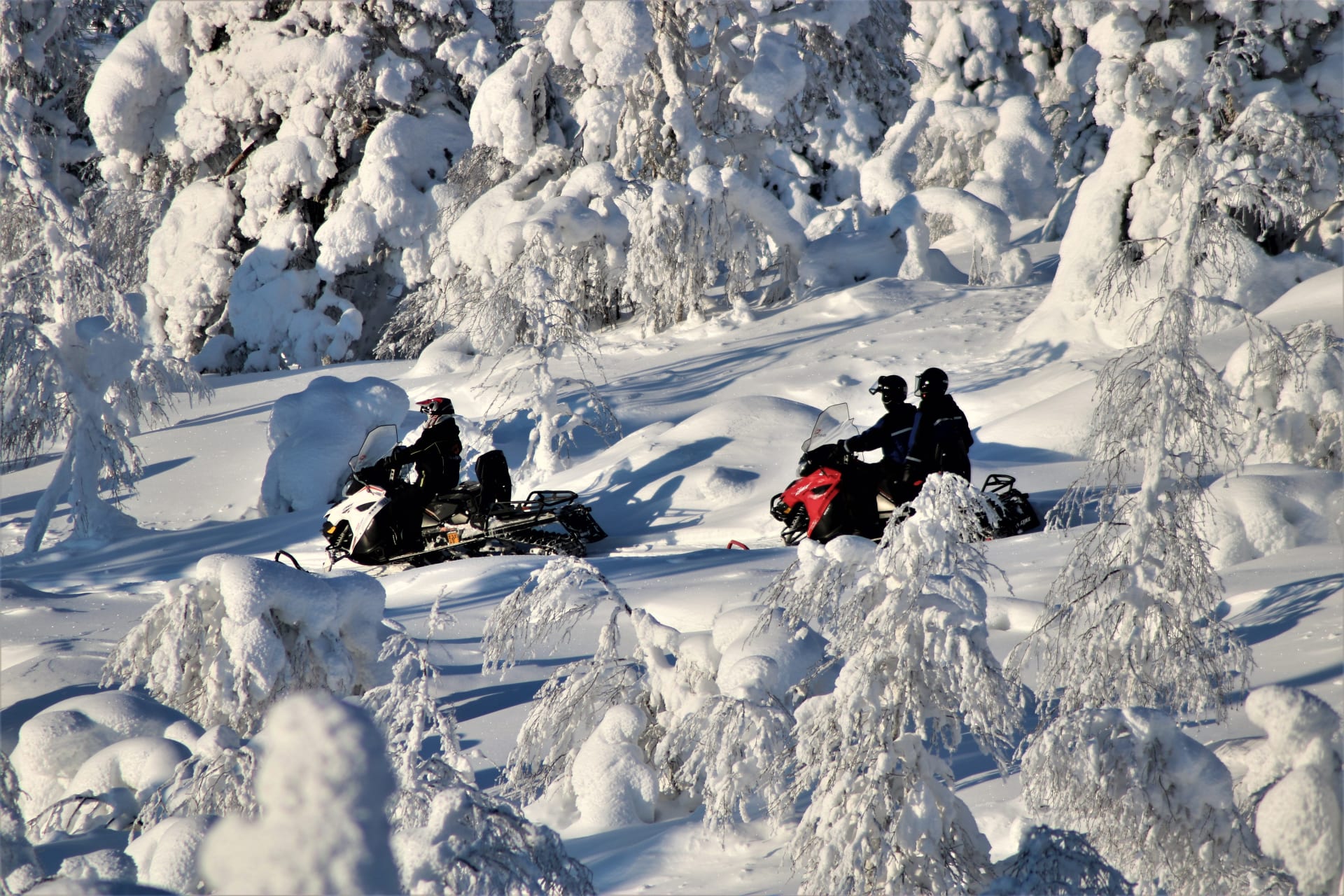 Escape to Wilderness - Full Day Snowmobile Safari