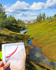 Suunnistuksen alkeiskurssi