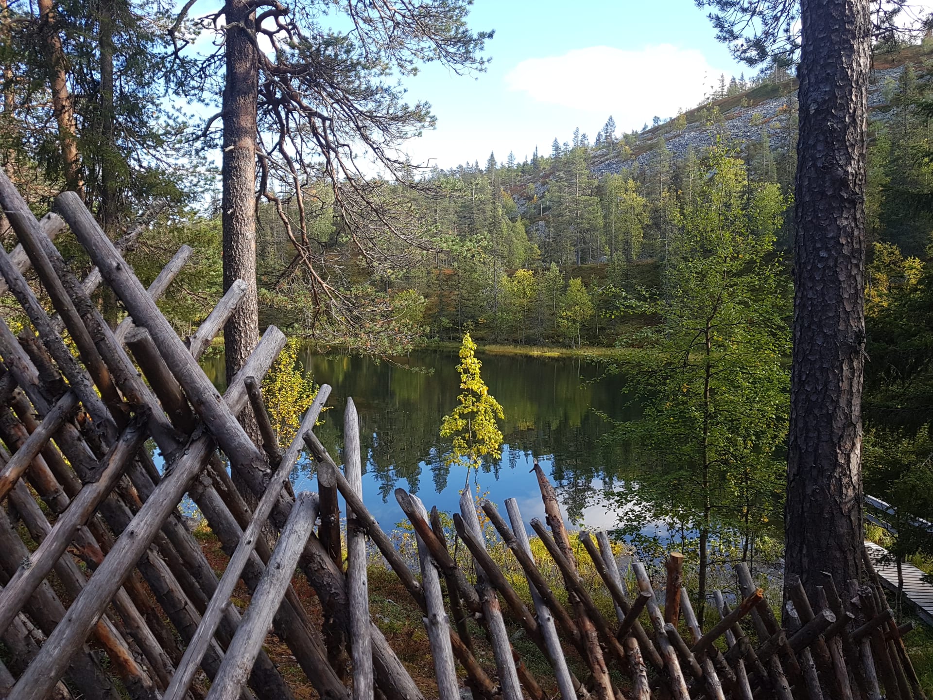 Experience Guided hike to Pyhä-Luosto National park, Finland