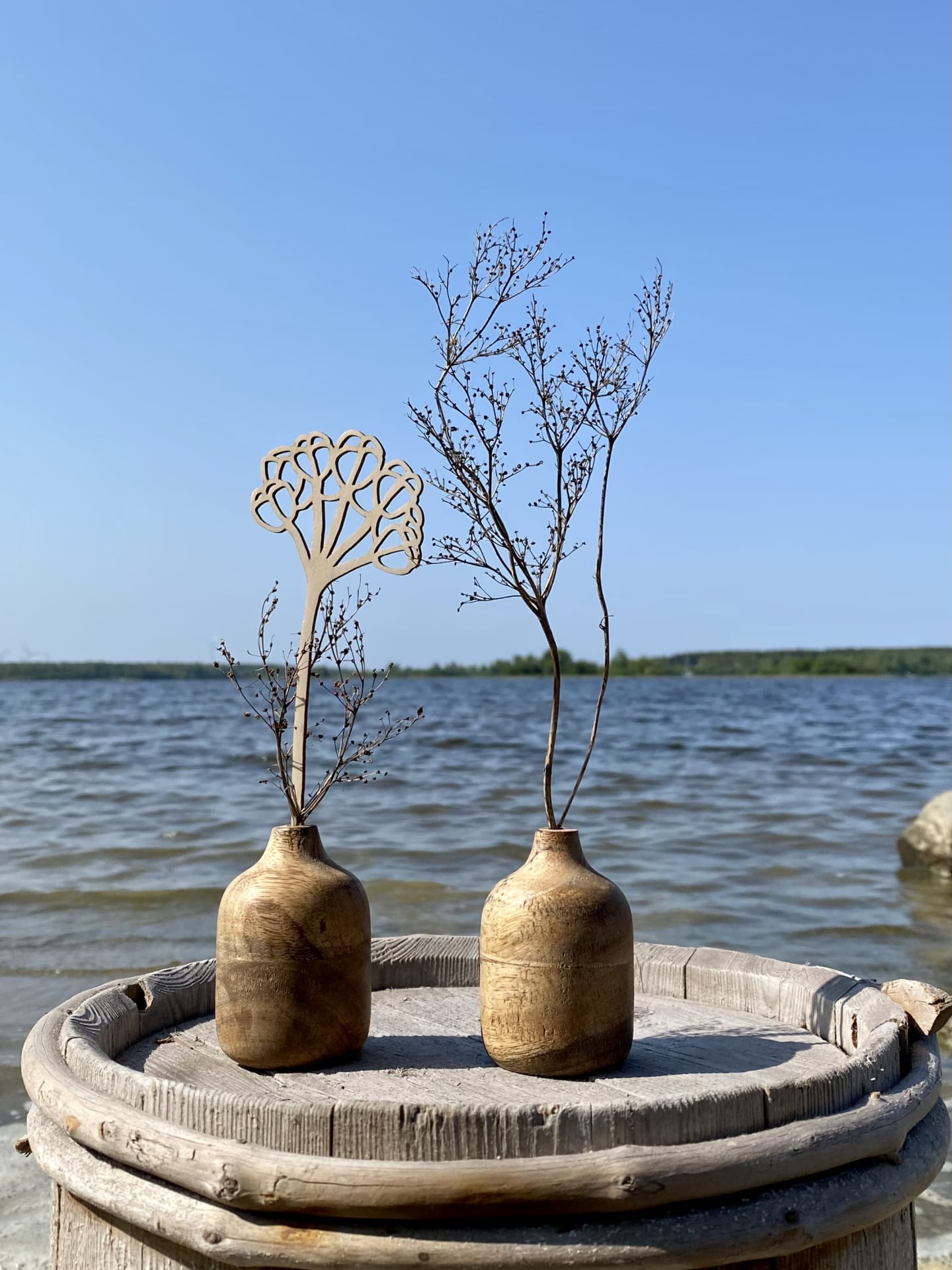 Viiluna's selection includes flowers growing in the coastal area of the Bothnian Bay