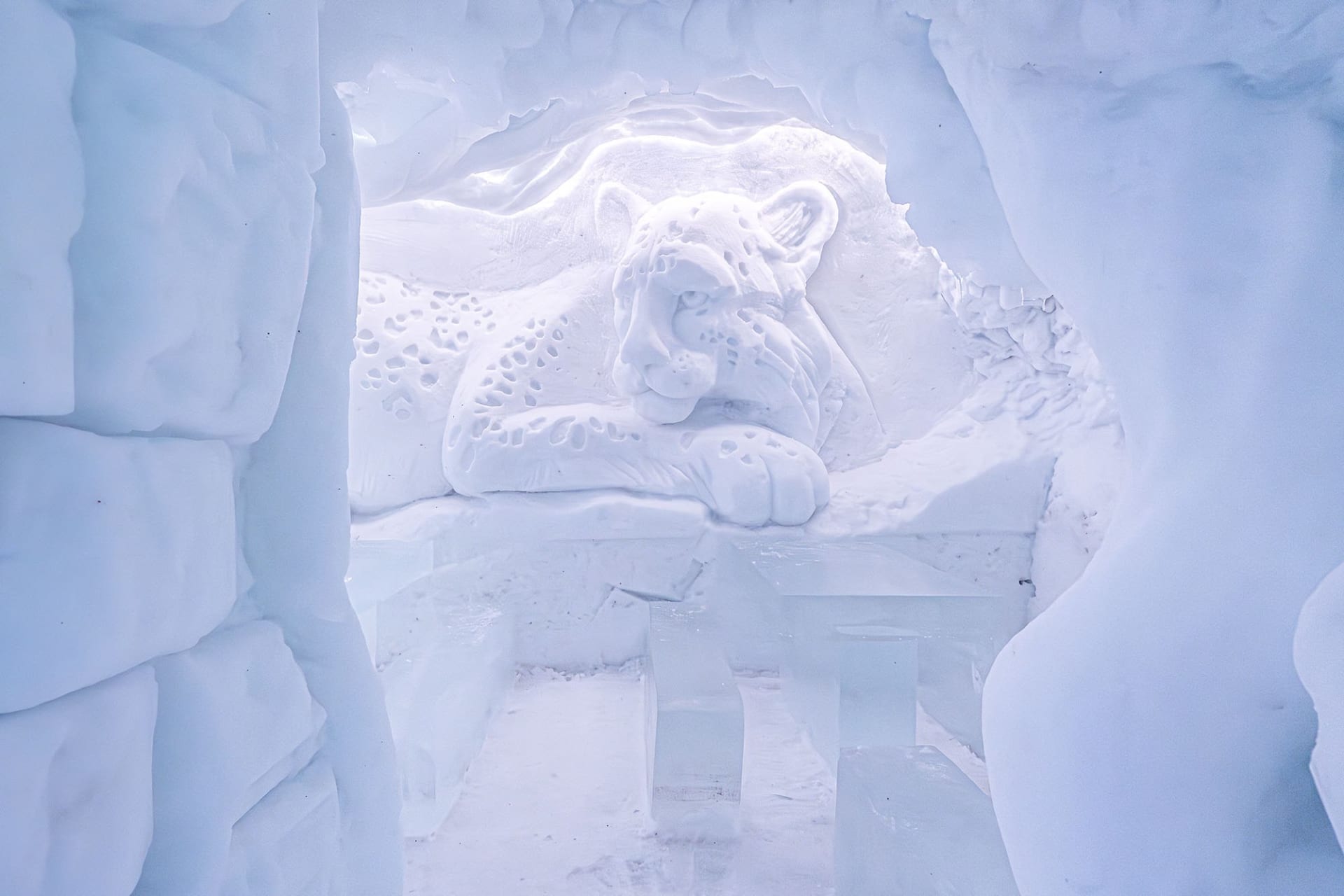 Snow and Ice art