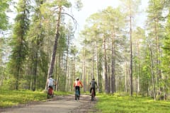 Mountain biking in Ylläs