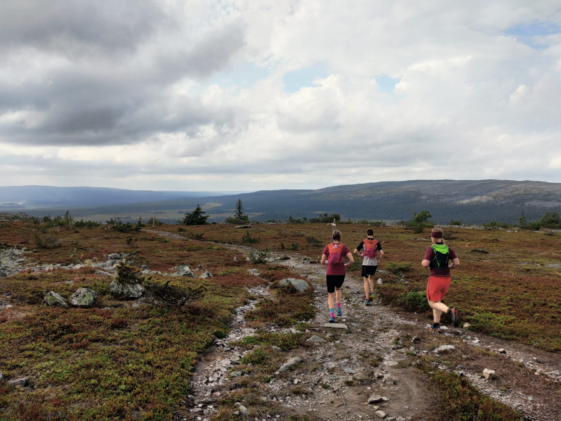 Trail Runnin in Ylläs