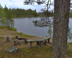 Lehtiniemi Guesthouse - fireplace