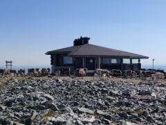 Restaurant Ylläskammi in a summer day and reindeer herd in front of the building.