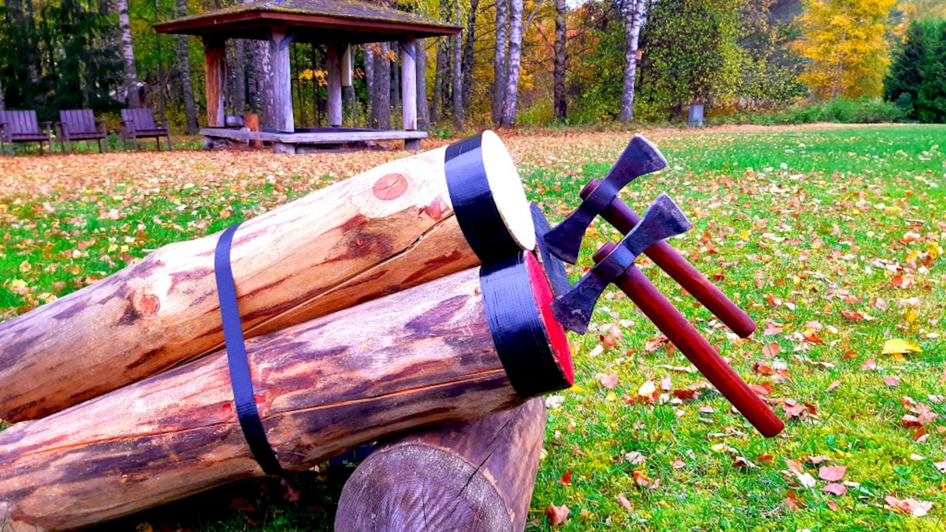 Axe Throwing