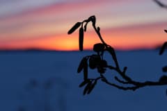 Villa Raita Omalla Saimaan saarella