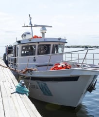 Auringonlaskuristeily