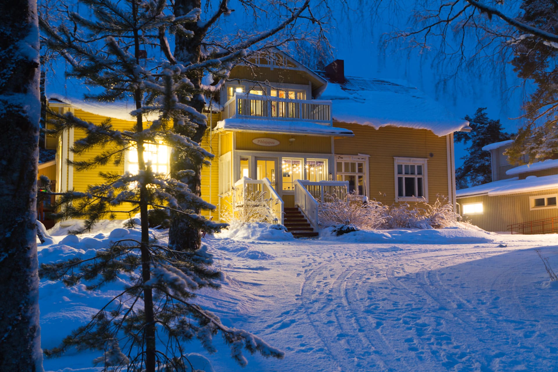 Pre-Christmas Magic in the Finnish Lakeland