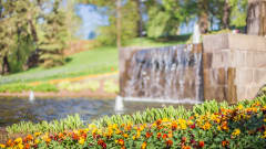 Tammerkosken luontopolku