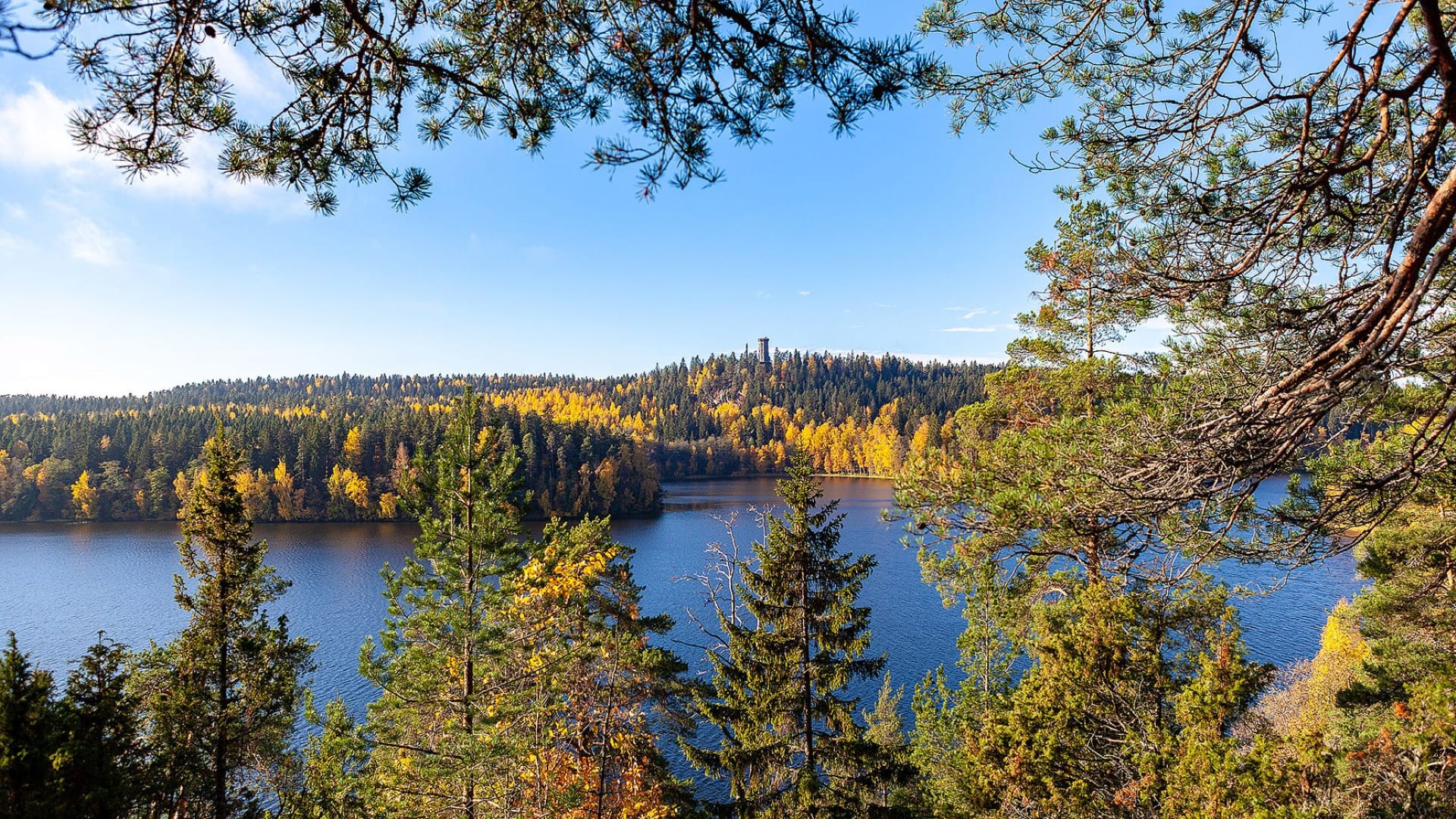 Kahvit ja kulttuurikävely säveltäjän sävelmaisemissa