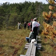 In the guided tour you will learn more about nature
