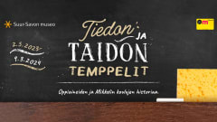 Tiedon ja taidon temppelit – oppiaineiden ja Mikkelin koulujen historiaa