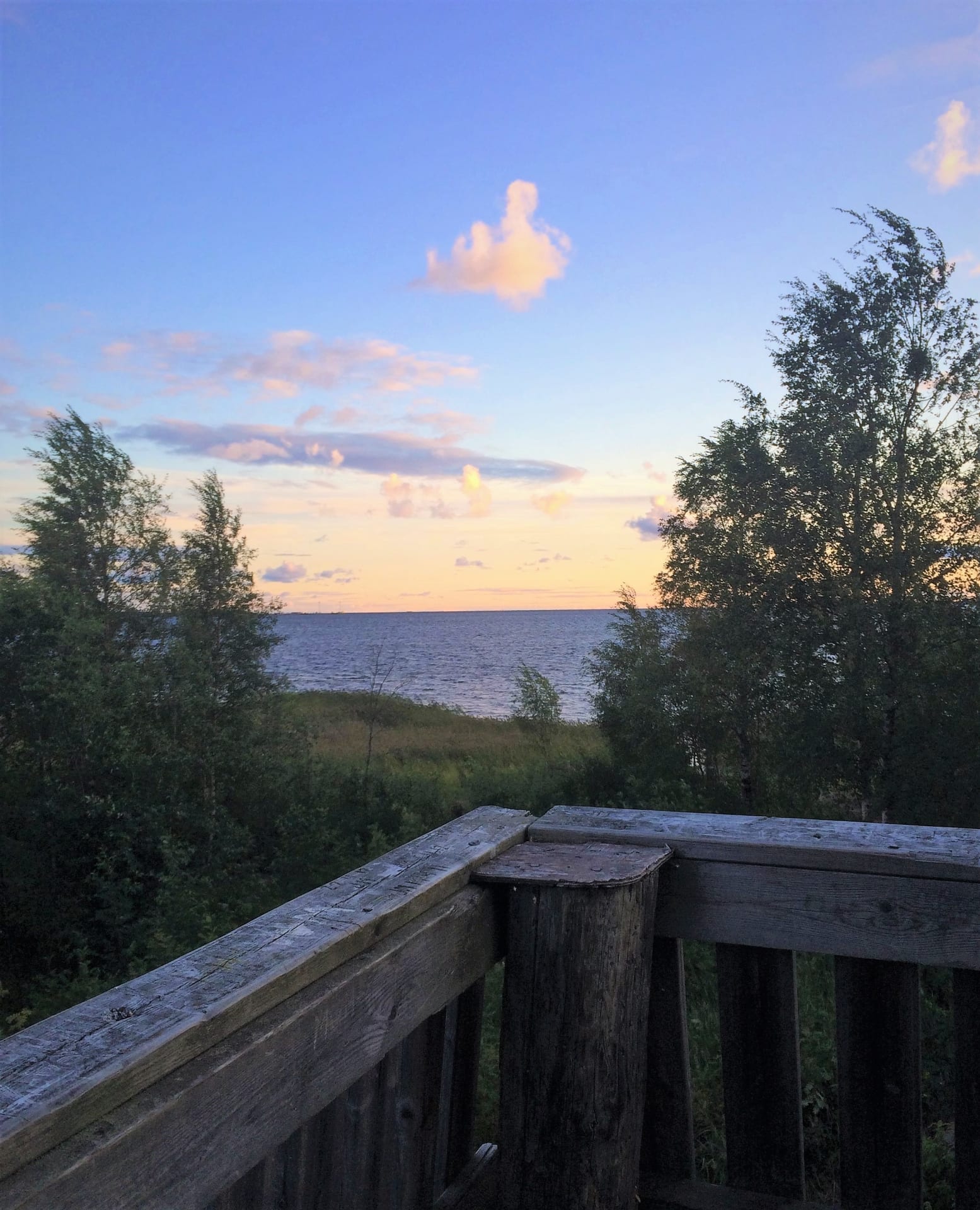 Watching birds in Letonniemi.